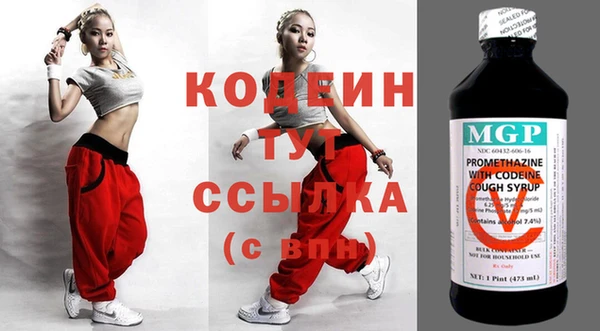 ГАЛЛЮЦИНОГЕННЫЕ ГРИБЫ Богданович