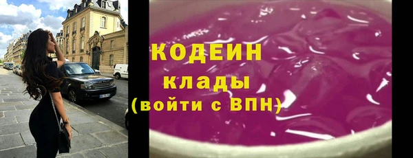 индика Белокуриха