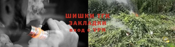индика Белокуриха