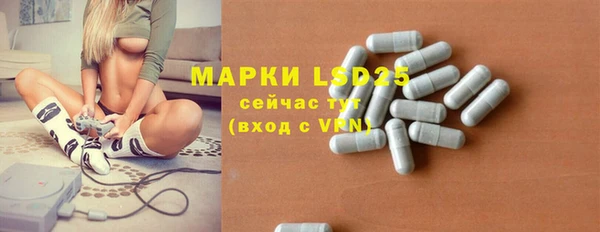 ГАЛЛЮЦИНОГЕННЫЕ ГРИБЫ Богданович