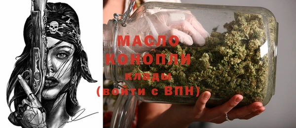 индика Белокуриха