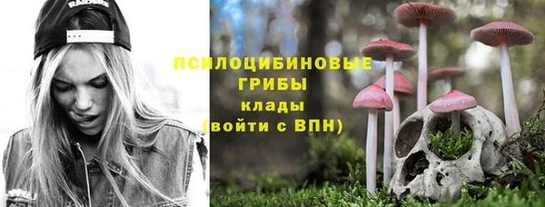 прущая мука Богородск