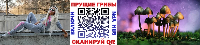 наркота  Белая Холуница  Галлюциногенные грибы мухоморы 